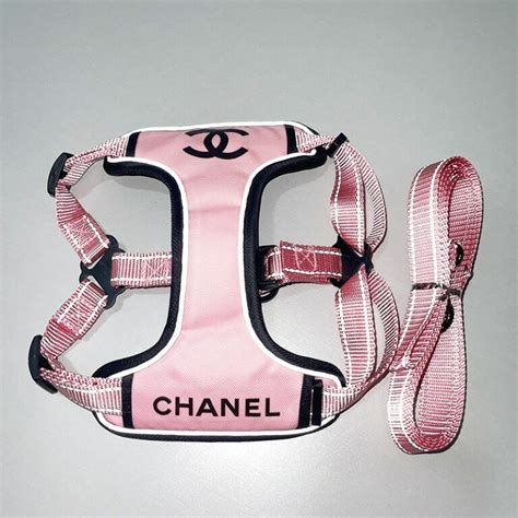 chanel hundebett|chanel dog clothing.